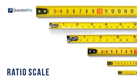 scale meaning and example