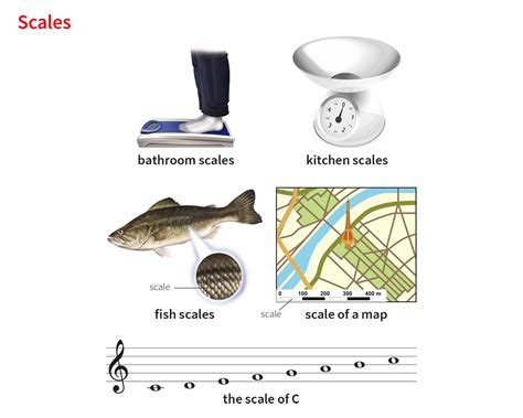 Scale Model Definition Dictionary