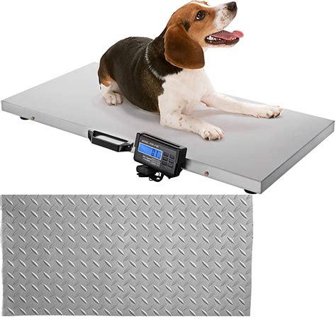 scales for large dogs