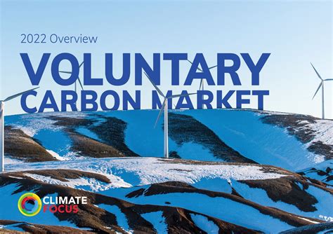 scaling voluntary carbon markets