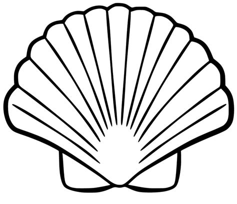 Scallop Shell Coloring Page