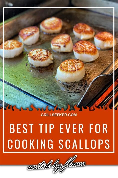 Scallops Cooking Instructions