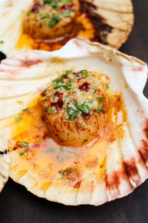 Scallops Image In The Shell