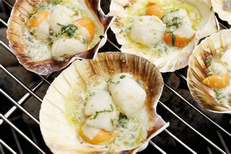 Scallops In Shell How To Cook
