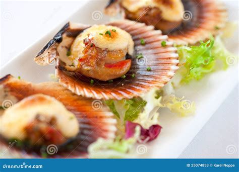 Scallops Macros