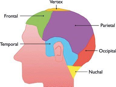 scalp location names