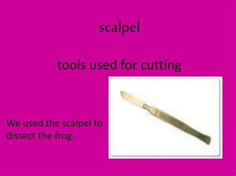 Scalpel Definition And Function