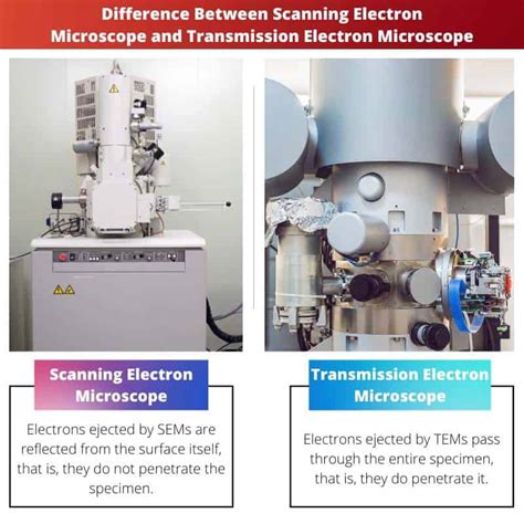 Scanning Electron Microscopy And Digital Image Correlation