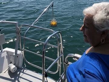 Boat hire & ashes scattering — Exeplorer Water Taxis