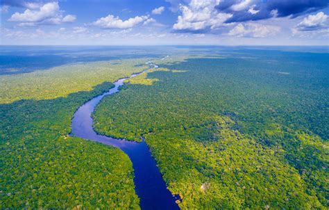 scene of amazon river