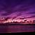 scenic purple dusk background