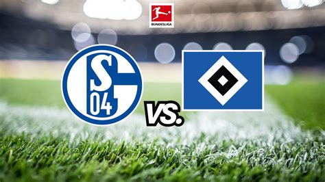 schalke 04 vs hsv