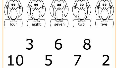 Schede di Pregrafismo dei Numeri da 0 a 9 da Stampare | Numeri scuola