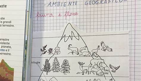 Schede didattiche di geografia: la collina e la montagna - Fantavolando