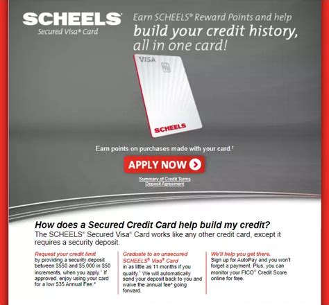 scheels card online payment