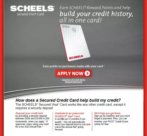 scheels credit card payment online
