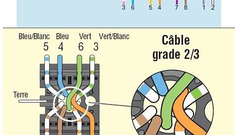 Schema Branchement Prise Rj45 Legrand Cablage Tv Et Page 3