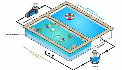 Schéma piscine naturelle plan, fonctionnement et