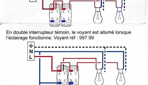 Schema Interrupteur Double Legrand Branchement Neptune