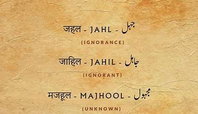 Schemata Meaning In Urdu