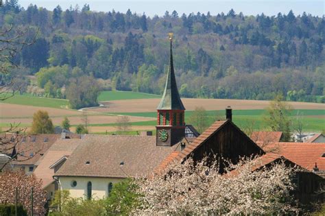 Schlatt: The Unfiltered and Hilarious Podcast That Will Make You Laugh