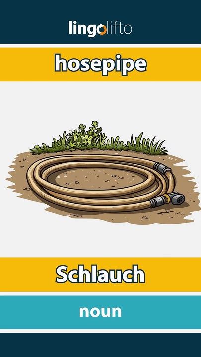 Plündern Wohnzimmer Phänomen schlauch englisch übersetzung Bildung