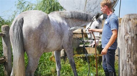 horse blanket with belly band