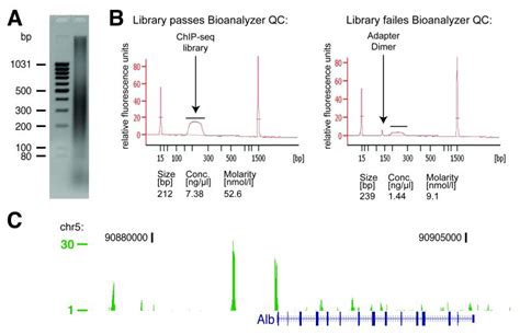 schmidt et al. 2009