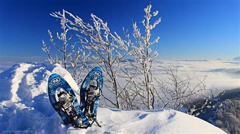 schneeschuhe kaufen tipps