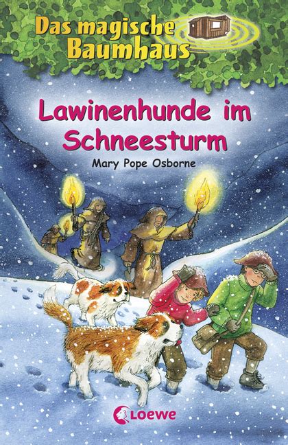 schneesturm buch