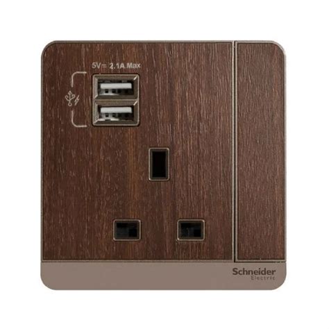 Schneider Single Socket With Usb