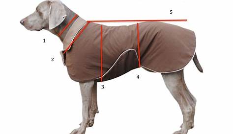 Image result for schnittmuster hundemantel selber nähen | Dog coat
