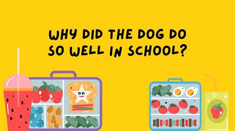 School Lunch Box Dog