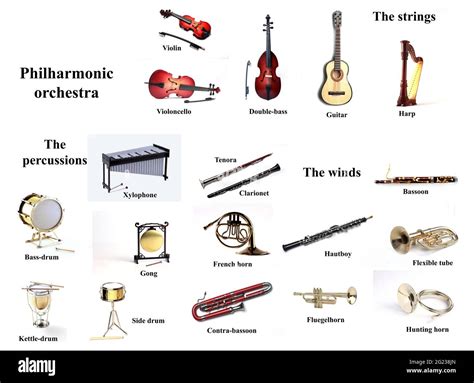 School Orchestra Instruments List