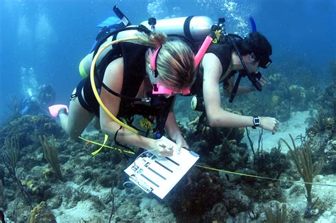 schools for marine science