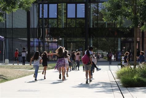 schools in belgium for international students