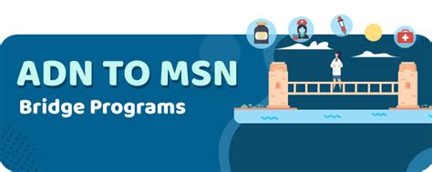 schools that offer adn to msn bridge programs