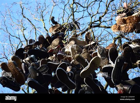 Yongqin Schuhbaum Bahre Schuh Baum 1 Set Unisex Aluminium Schuh Bahre