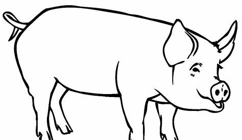 Kostenlose Malvorlage Tiere: Schwein zum Ausmalen zum Ausmalen