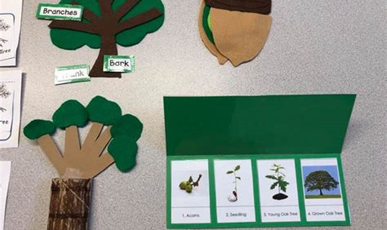 science activities for preschoolers trees