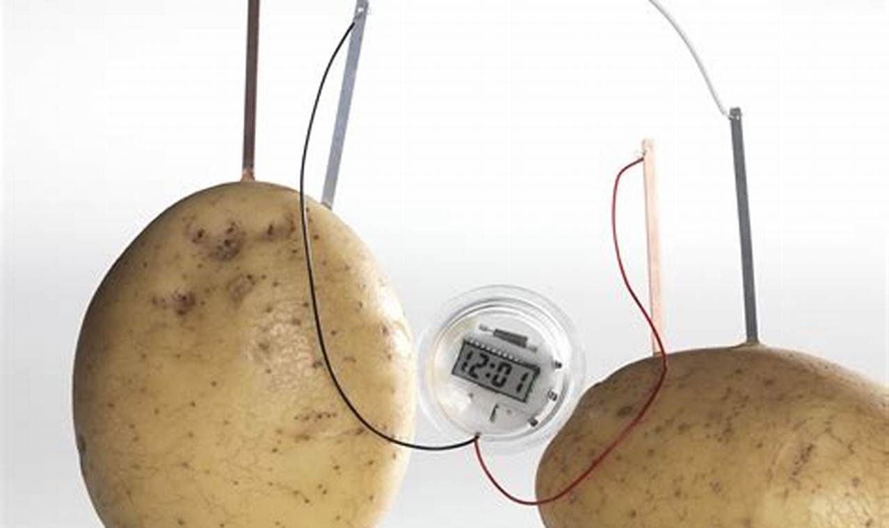 science experiment potato electricity