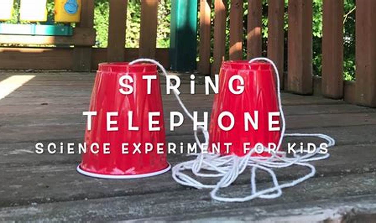 science experiment sound cup string