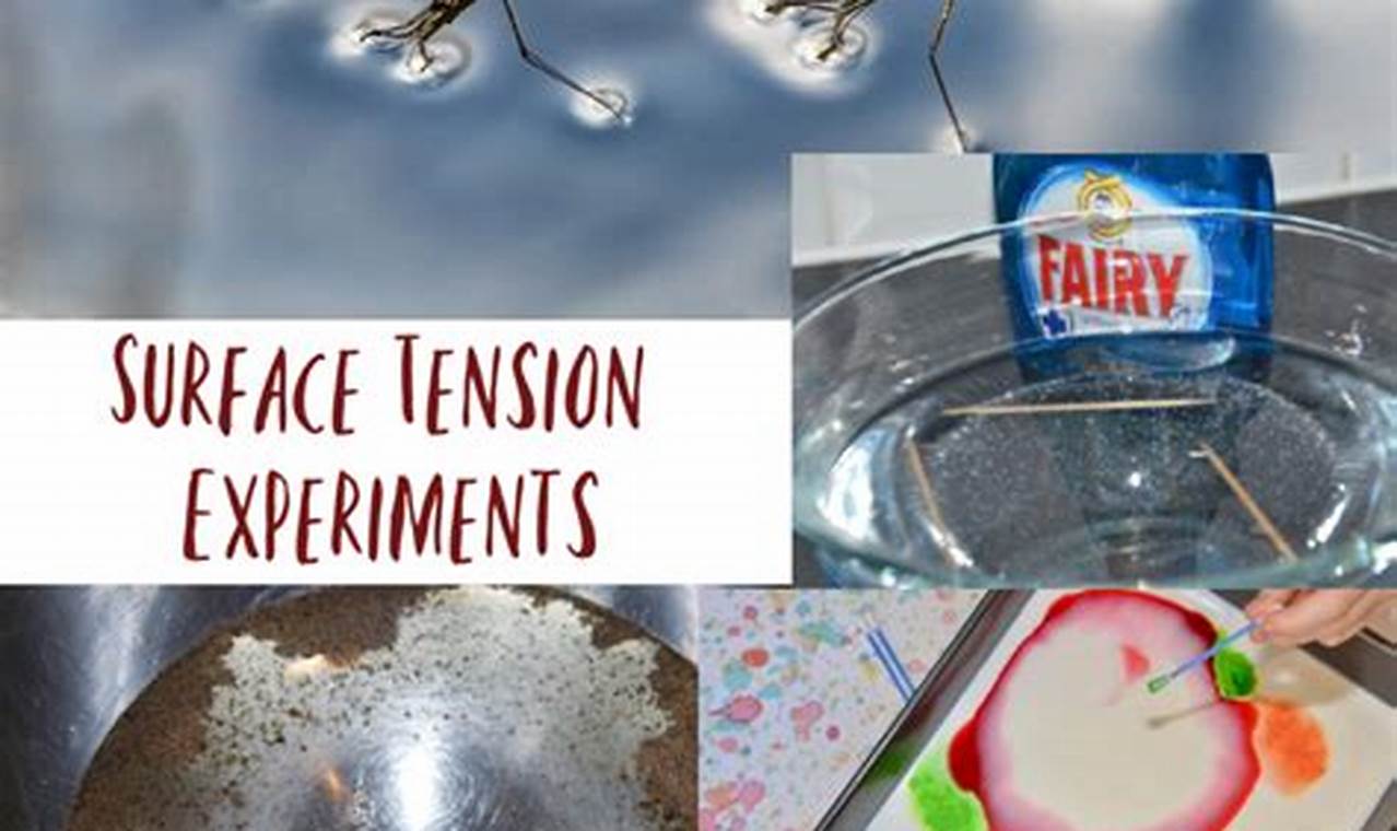 science experiment surface tension of water