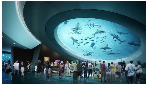 Frost Museum Of Science In Miami To Open May 8 Sun Sentinel