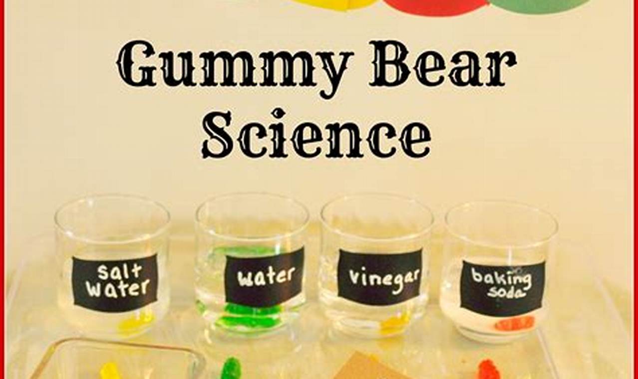 science observation experiment ideas