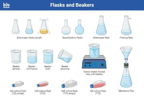 Science Beaker Vs Flask