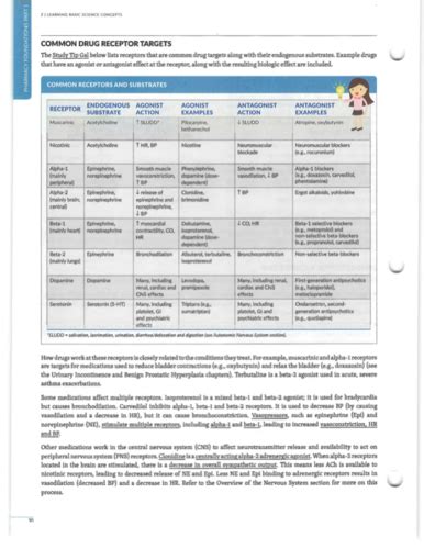 science concept flashcards