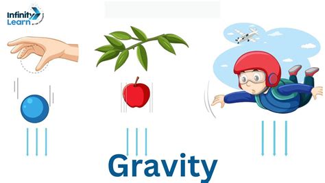 Science Definition Of Gravity