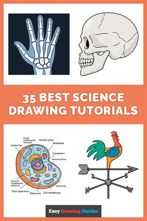 Science Drawing Tutorials