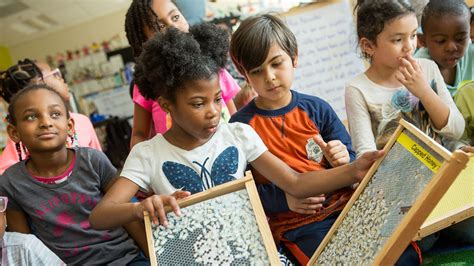 Science Education.org